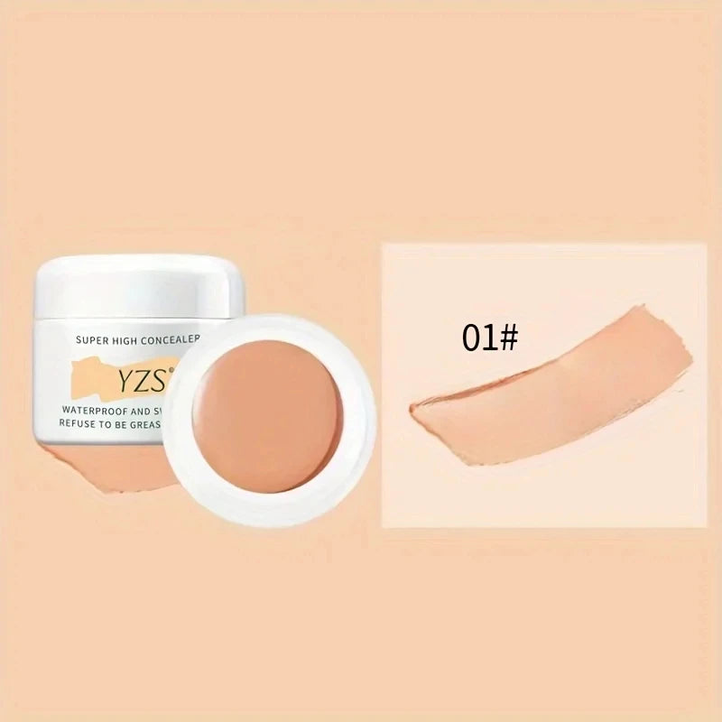 Corretivo de alta definição À Prova D'Água cobertura total